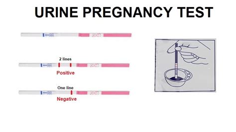 putting a drop of blood on pregnancy test|whole blood pregnancy test urine.